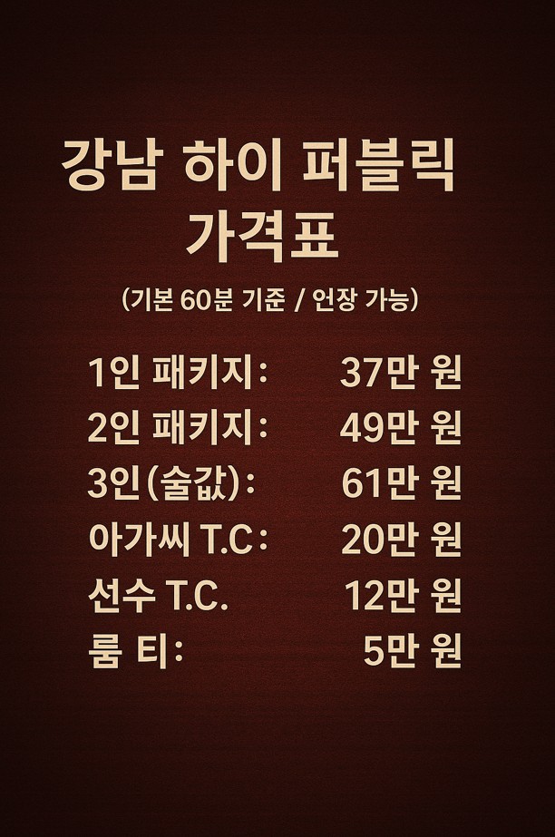 하이퍼블릭가격2 강남 가라오케 후기
