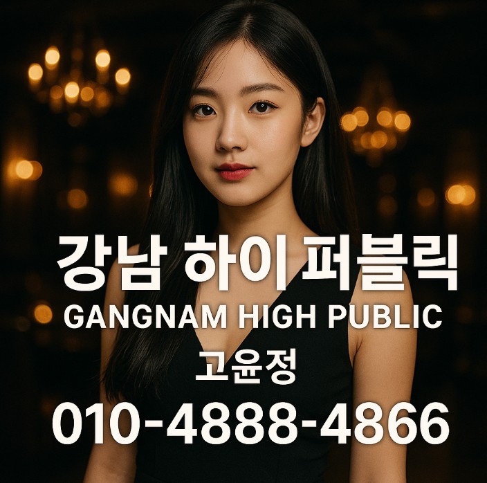 강남 하이 퍼블릭 강남 하이 퍼블릭