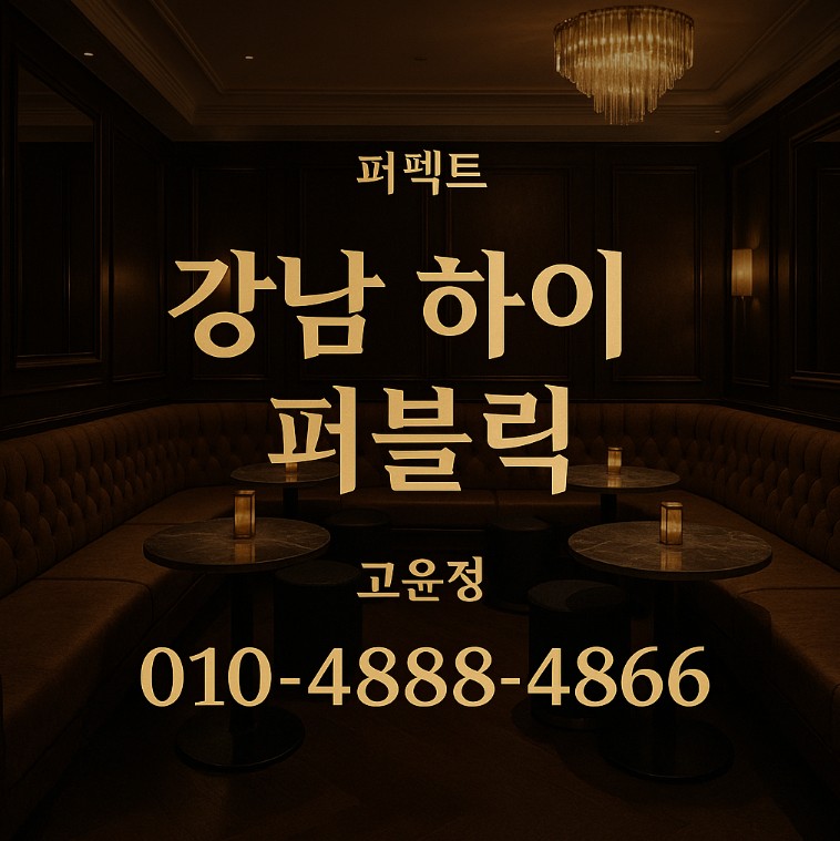 강남 하이 퍼블릭 가격