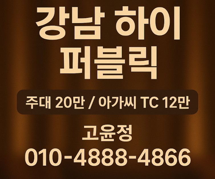 강남 하이 퍼블릭 강남 하이 퍼블릭