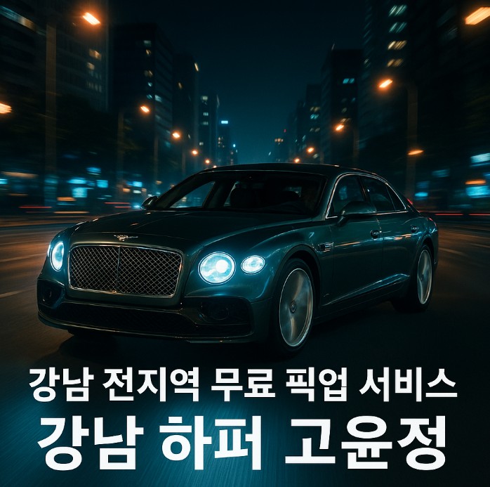 강남 아가씨 술집 추천 강남 아가씨 술집 추천
