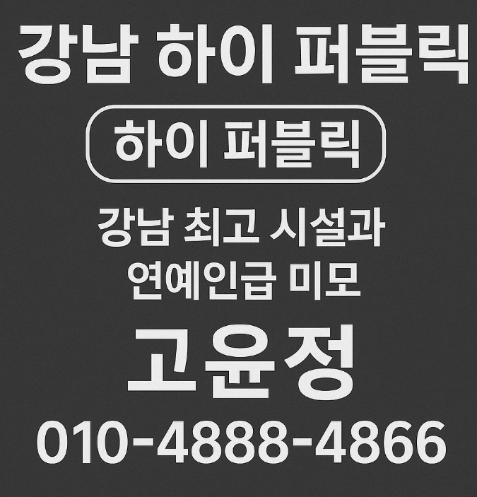 강남 하이 퍼블릭 강남 하이 퍼블릭