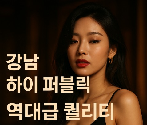 강남 하이 퍼블릭 강남 하이 퍼블릭