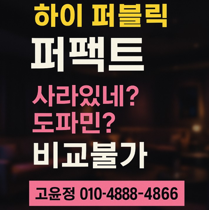 강남 하이 퍼블릭 퍼펙트 강남 하이 퍼블릭 퍼펙트