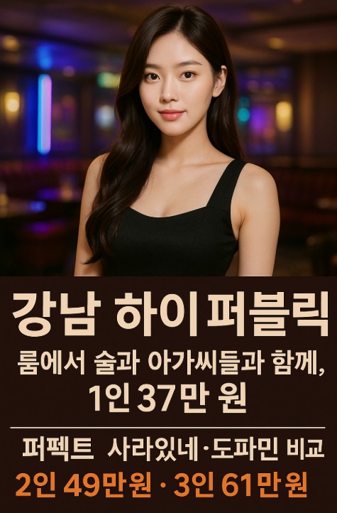 강남 하이 퍼블릭 강남 하이 퍼블릭