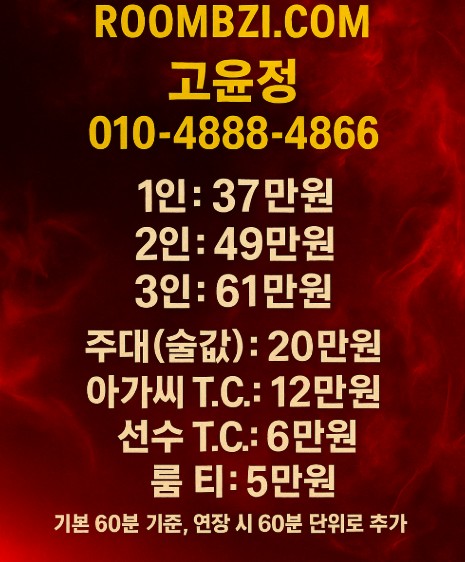 강남 룸 강남 룸