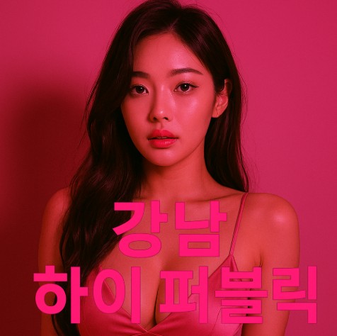 강남 하이 퍼블릭 강남 하이 퍼블릭