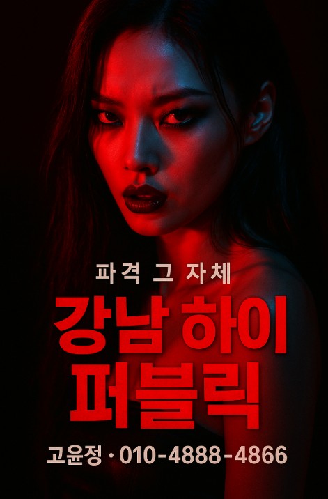 강남 하이 퍼블릭 강남 하이 퍼블릭