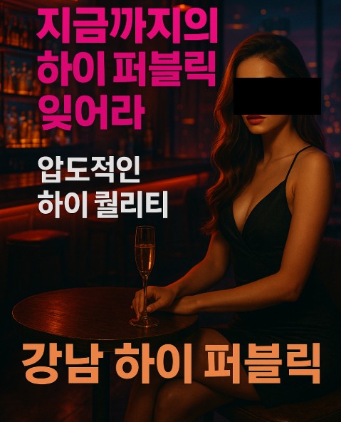 강남 하이 퍼블릭 강남 하이 퍼블릭