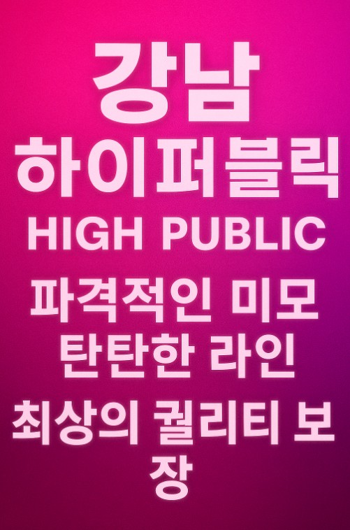 강남 하이 퍼블릭 강남 하이 퍼블릭